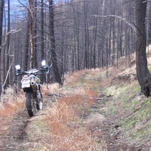 march26_05_dirtbike_028