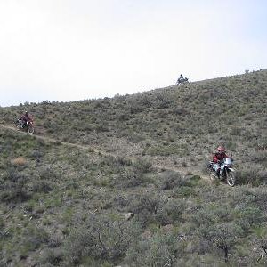 Wayne's mtn -bike trail