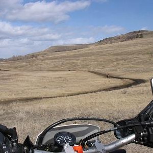 The muddy grasslands