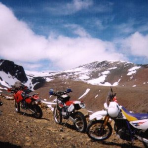 Poison Mountain