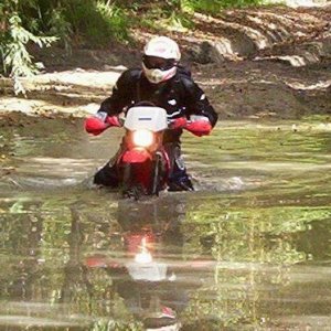 Carl going for a swim