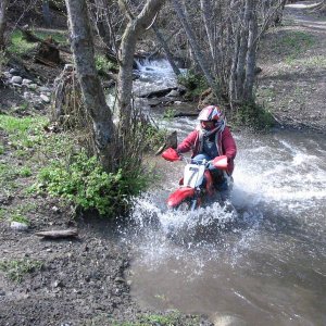 Dairy Creek crossing