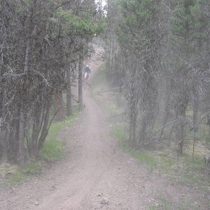 Inks lake never ending trails.