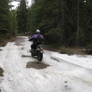 Ged's 800 Beemer.