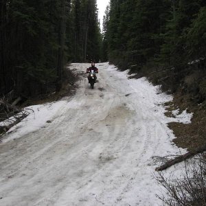 There wer a few challenging hills today