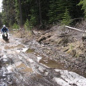 More mud