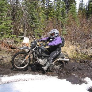 Who says an 800 Beamer cant wheelie through the mud? When in doubt...Just G