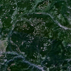 Princeton/Peachland/Summerland