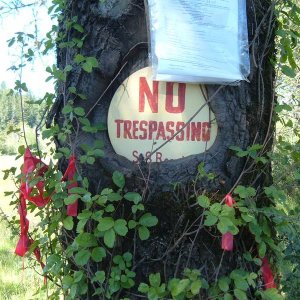 Cool sign with tree groing around it