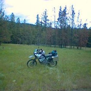 Pitstop to layer down a bit