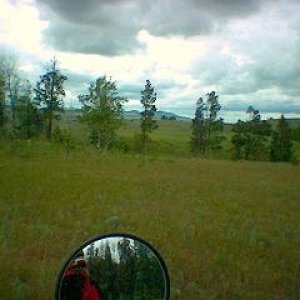 Grasslands!