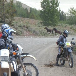 Dead Zone Pre Ride