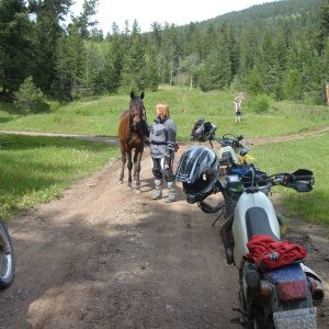 Dead Zone Pre Ride