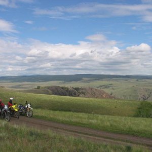 Campbell grasslands