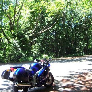 Princeton_05Triumph_045