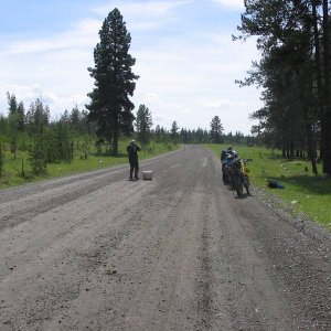 Trifecta_2005_120