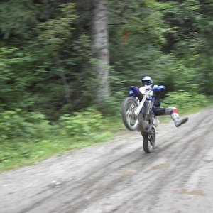 21_spread_wheeelie