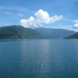 Needles ferry