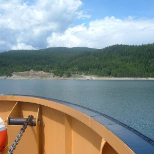 Needles ferry