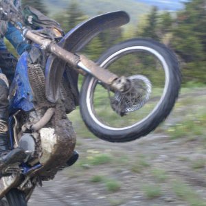 headless_wheelie