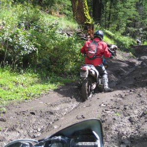 using_the_ruts