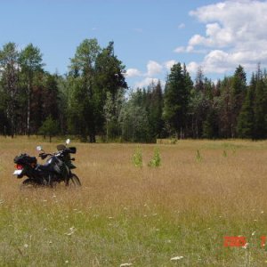 Loon Lake BC 2005