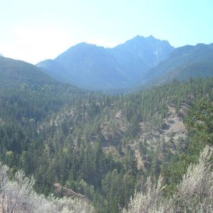 Texes Creek FSR
