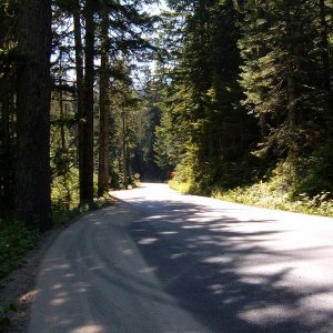 DSCF0581