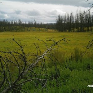 Cariboo_Dual_Sport_048