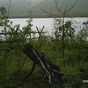 Cariboo_Dual_Sport_052