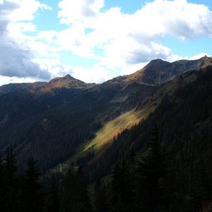 DSCF0596
