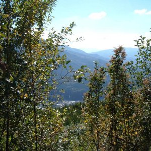 DSCF0608