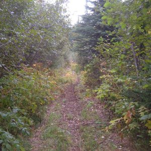 DSCF0951