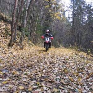 Oct8_2005_034