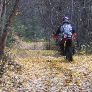 Oct8_2005_032