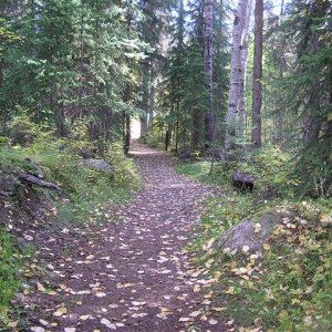 Fairy tale trail
