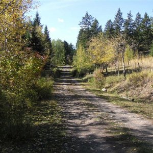 Road ahead