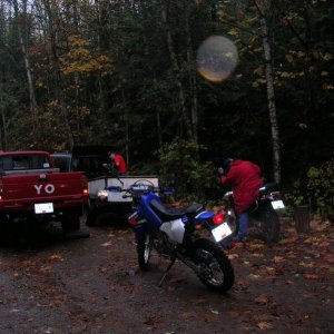 arriving at the beginning of Harrison