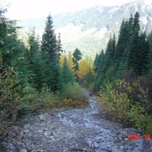 Side road off Silver Skagit FSR