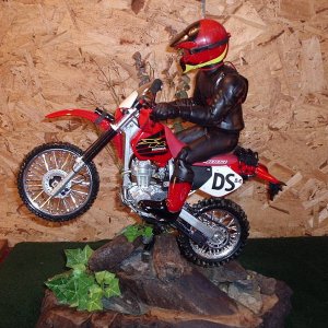 Joe dual sport
