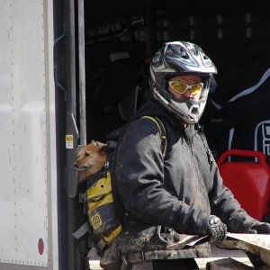 Bill and Diesel