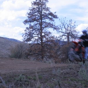 IMG_0010