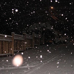 Snow_April_19-2008_002