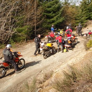 Start of the run