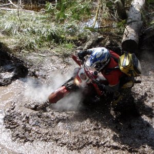 The Mud Hole