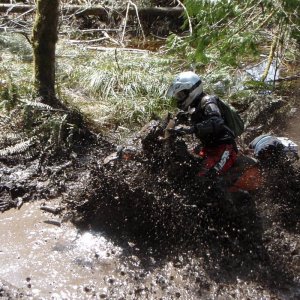 The Mud Hole