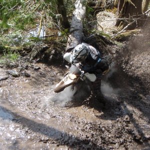 The Mud Hole