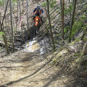 Frog in the Whoops
