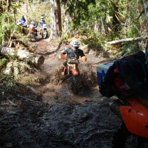 More of the puddle
