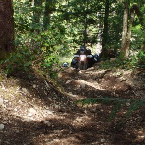Blue ribbon hill